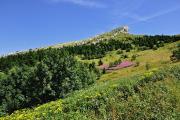 Peu avant le Col de l'Arc, le sommet se dévoile