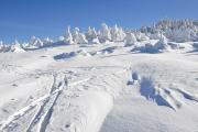 La neige est tombée en quantité ces derniers jours