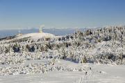 Crêt de l'Oeillon depuis le Crêt de la Perdrix