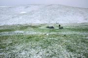 Bivouac dans l'immensité neigeuse