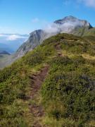 Sentier au bout de Champ Tardif