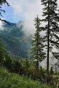 Les premiers sommets visibles depuis la forêt