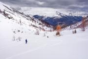 Descente entre les mélèzes