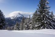 Chamechaude encapuchonnée