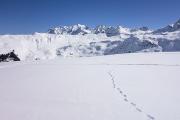 Massif du Mont-Blanc