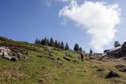 Près du col de Cenise