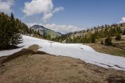 Près du col de Cenise