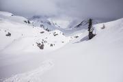 Petit vallon au-dessus de la Savonne