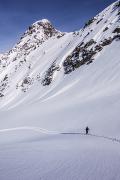 Dans une belle couche de neige fraîche