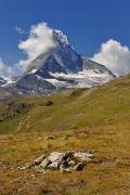 Le roi de Suisse