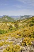 Près du Col de Milmandre