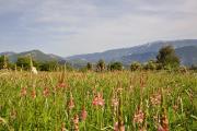 Tour des Baronnies