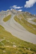 Les moutons en travers du sentier