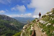 Sentier à la montée