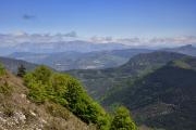 Au fond, les falaises du Vercors