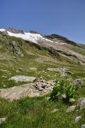 Glacier des Glaciers