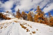 Couleurs d'automne dans les Cerces