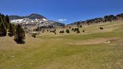 Plateaux du Vercors, près du pas de l'Essaure