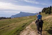 A cheval au plateau de la Molière