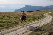 A cheval au plateau de la Molière