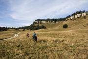 Lans en Vercors - Autrans - La Molière à cheval