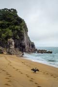 Toujours des plages désertes