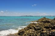 Depuis l'île de Rangitoto