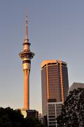 Fin de journée sur la Sky Tower