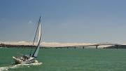 Baie d'Auckland et Harbour Bridge