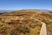 Sentier de qualité néo-zélandaise