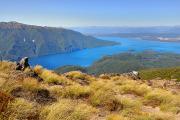 Lac de Te Anau