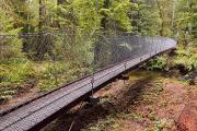 Belle passerelle dans la jungle