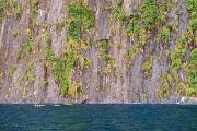 Kayaks au pied des falaises