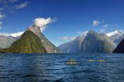 Kayaks dans le Milford Sound