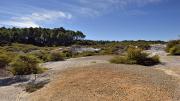 Wai-O-Tapu