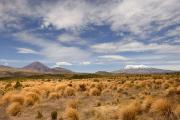 Tongariro National Park