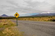 Tongariro National Park