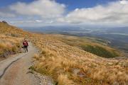 Belle descente herbeuse