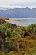 Lac Hawea