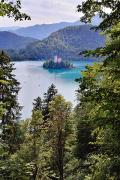 La petite ile de l'église du lac de Bled