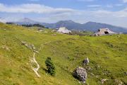 Les chalets d'alpage de Velika Planina