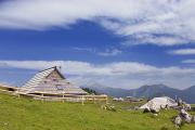 Les chalets d'alpage de Velika Planina