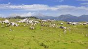 Les chalets d'alpage de Velika Planina