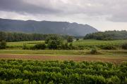 Vallée de Vipava