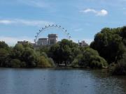 St James Park - vue sur le London Eye